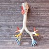 KURZZEITMIETE | Anatomiemodell Lunge